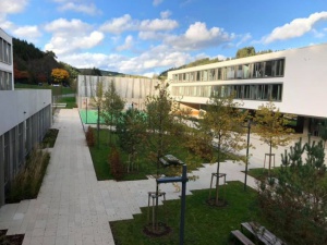 Lycée Edward Steichen - jardin intérieure